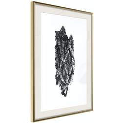 Arkiio Affisch Bark [Poster] 30x45 Poster